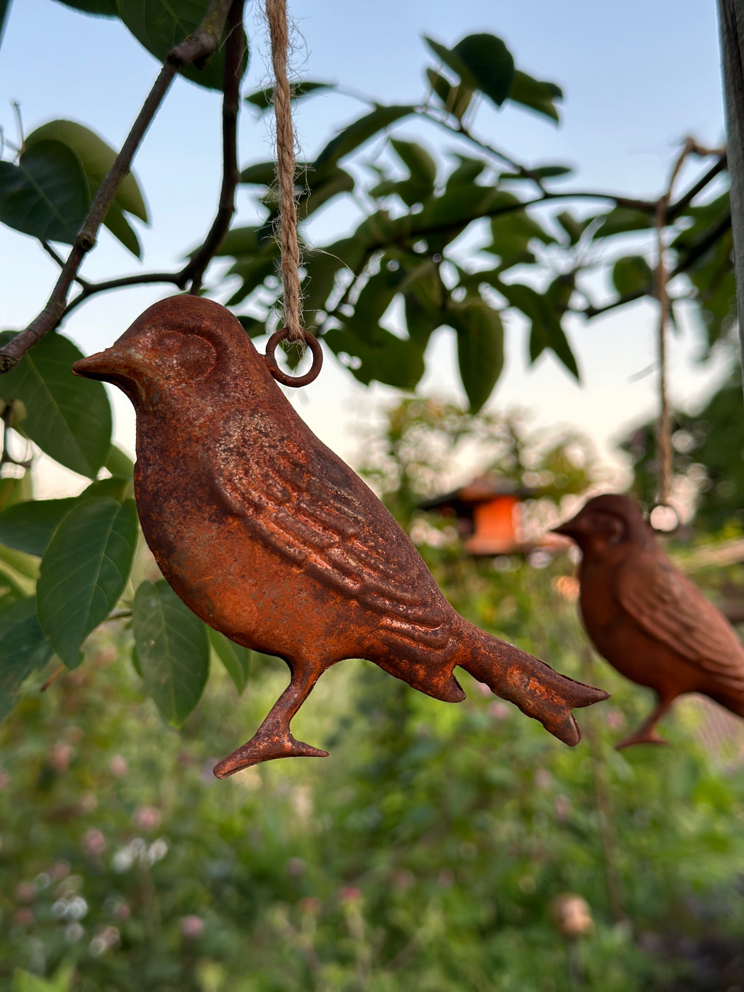Vogel Rost zum hängen.