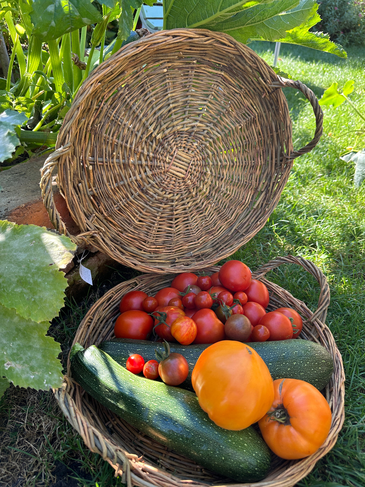 Tablett Weidengeflecht rund mit zwei Henkeln D: 40cm