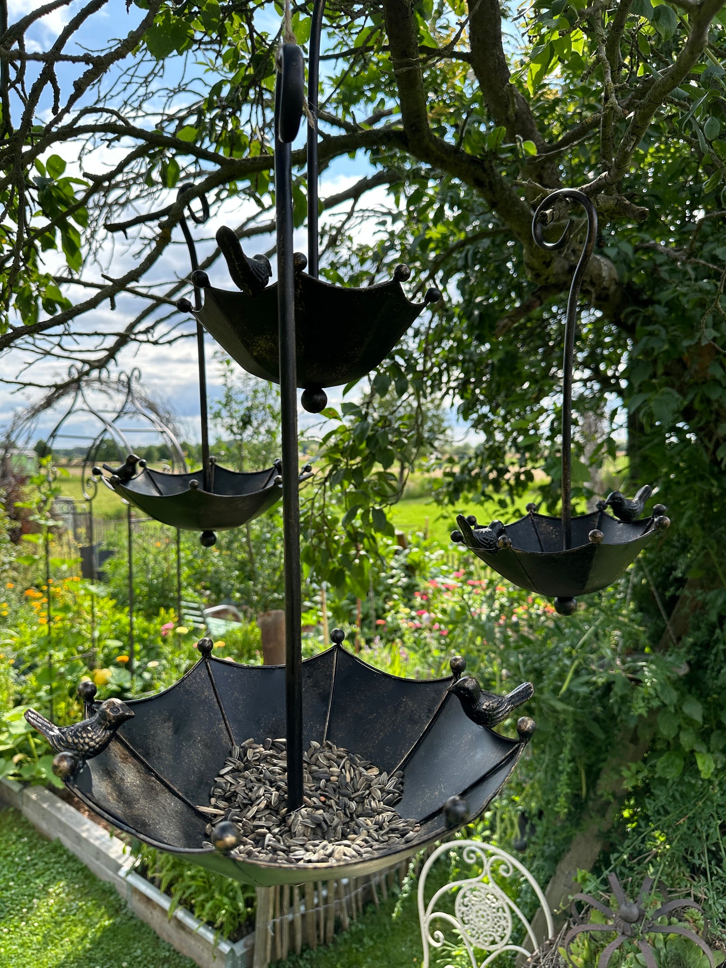 Futterstelle/ Vogelfutter, Schirm