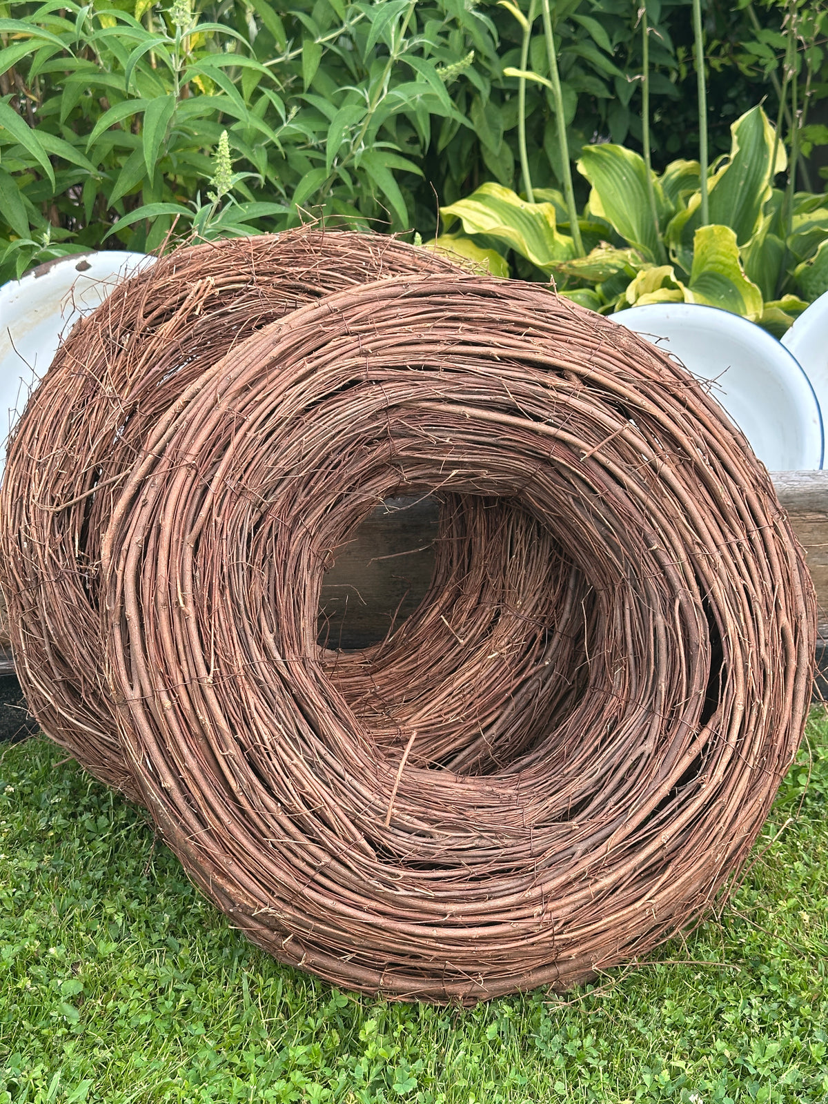 Kranz Natur D: 50x14 cm