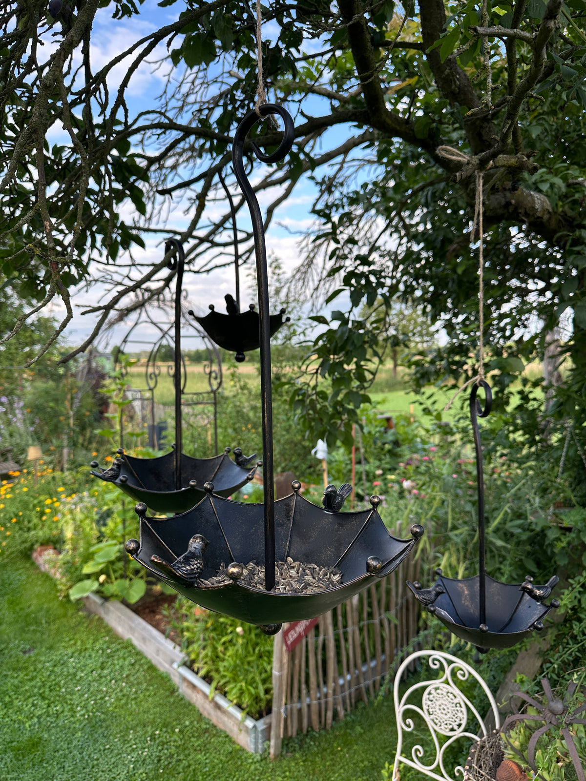 Futterstelle/ Vogelfutter, Schirm