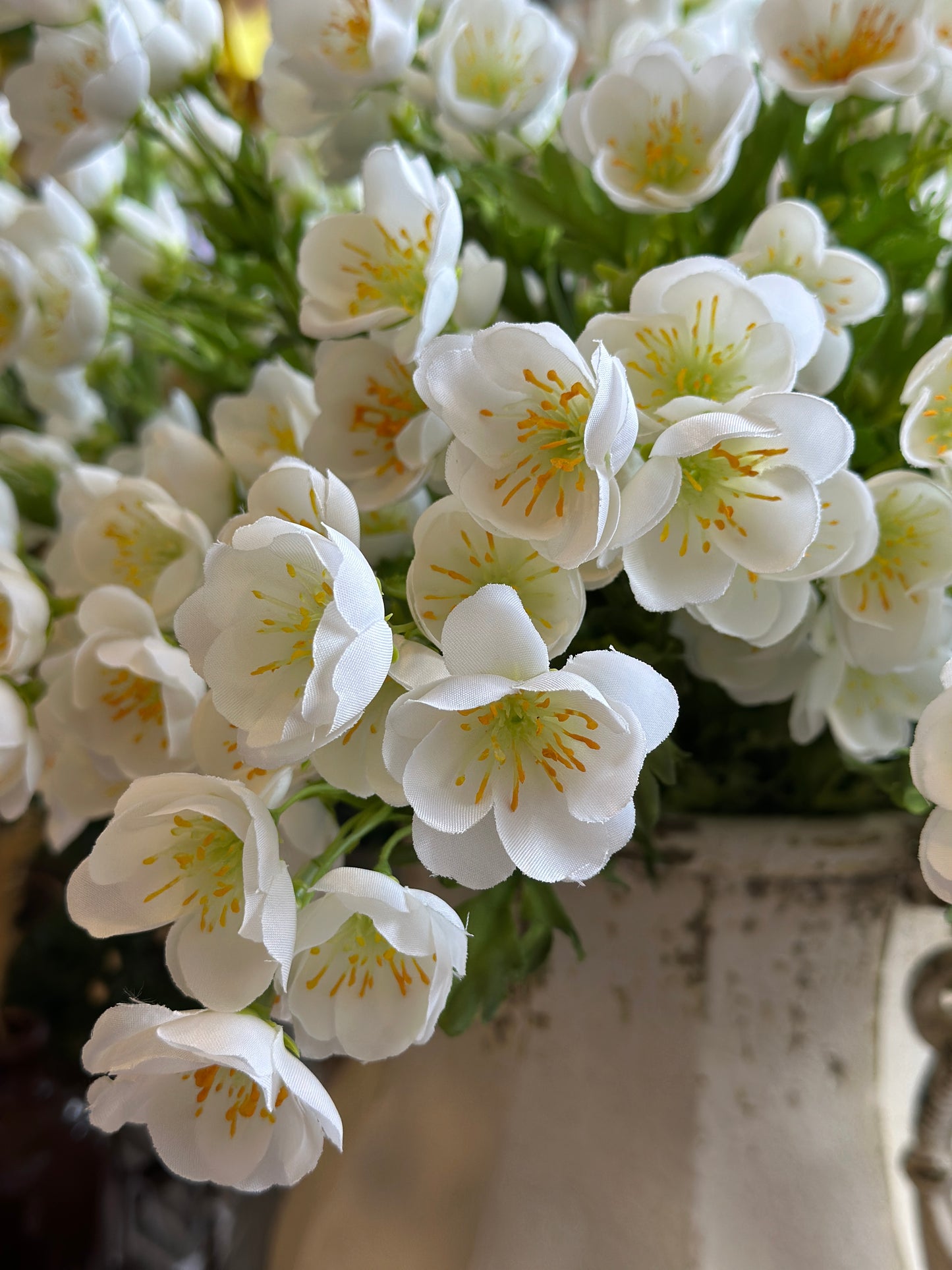 Blume, weiß