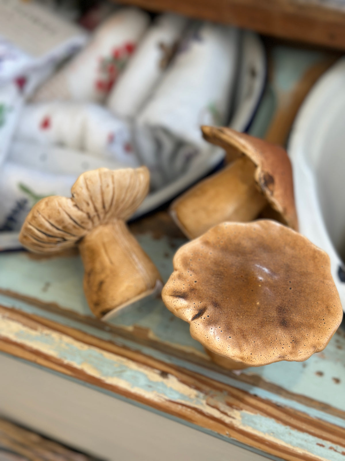 Pilz Set3
