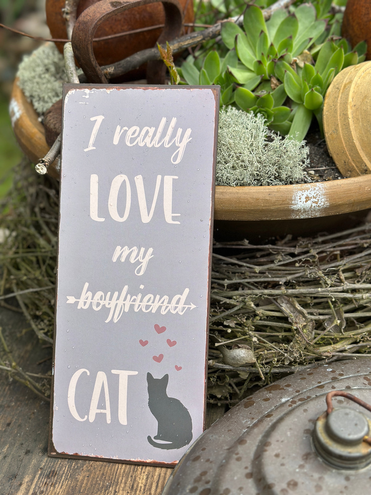 Schild CAT