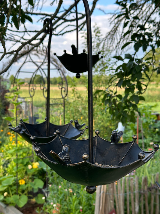 Futterstelle/ Vogelfutter, Schirm