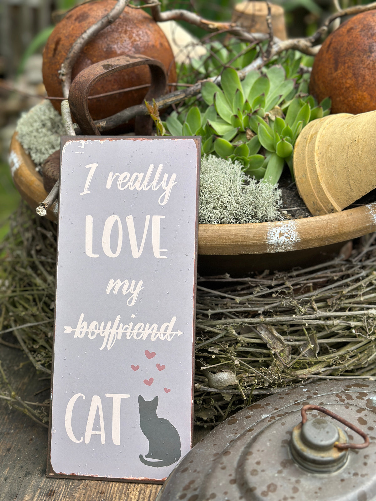 Schild CAT