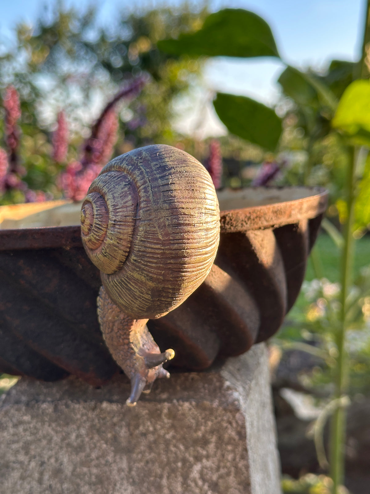 Schnecke Topfhänger