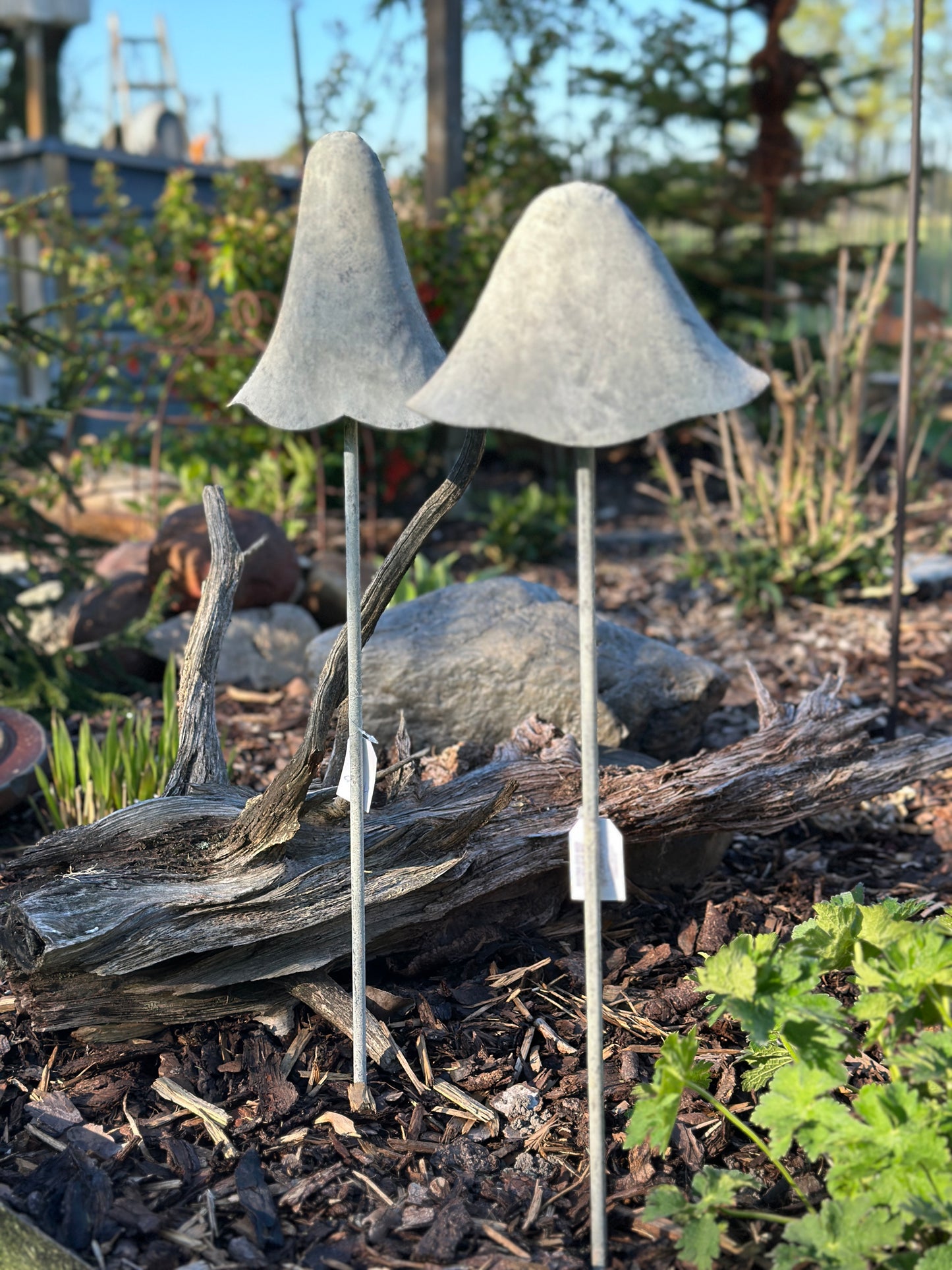 Pilz Set/ 2   H: 70cm.
