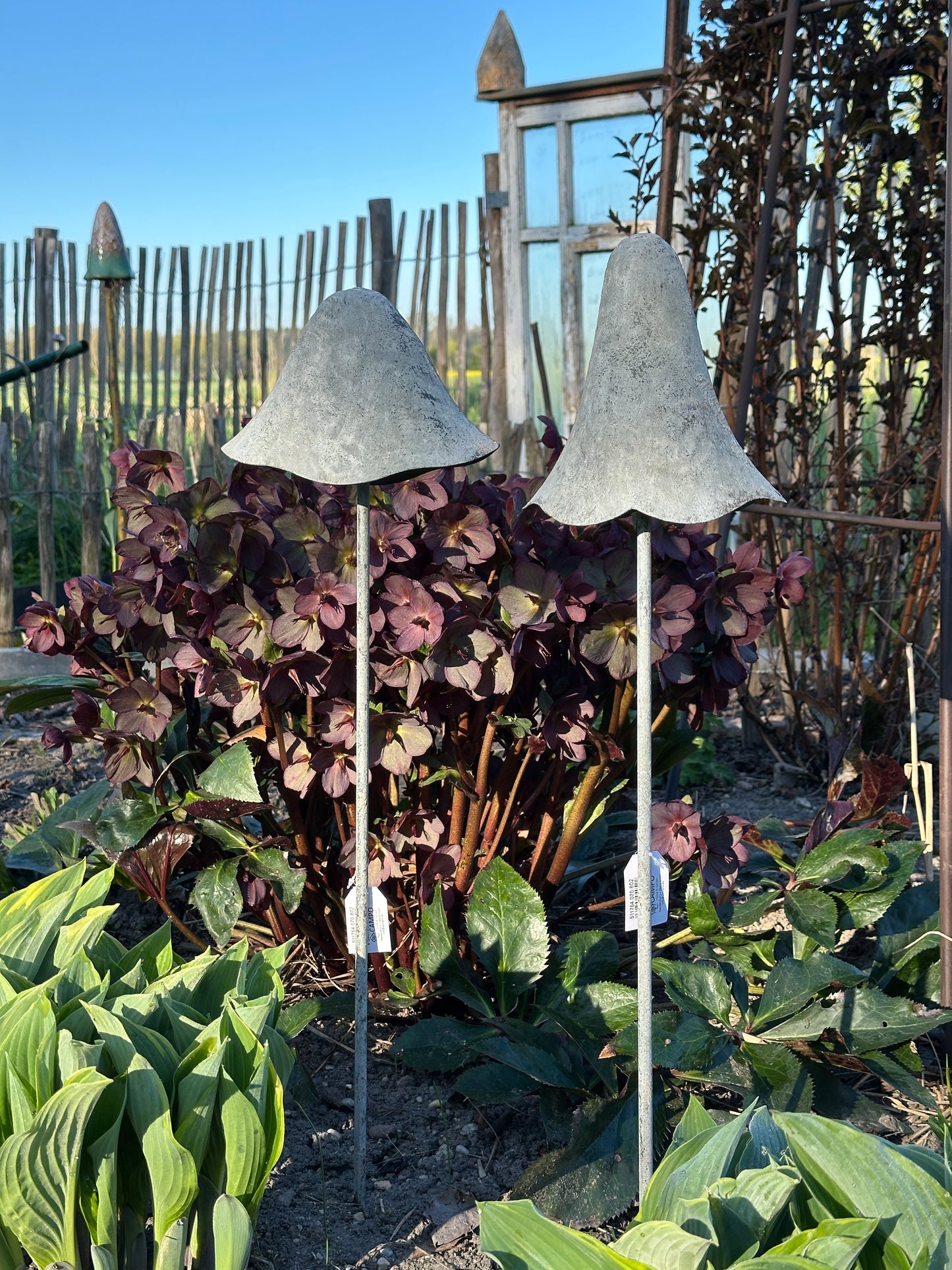 Pilz Set/ 2   H: 70cm.