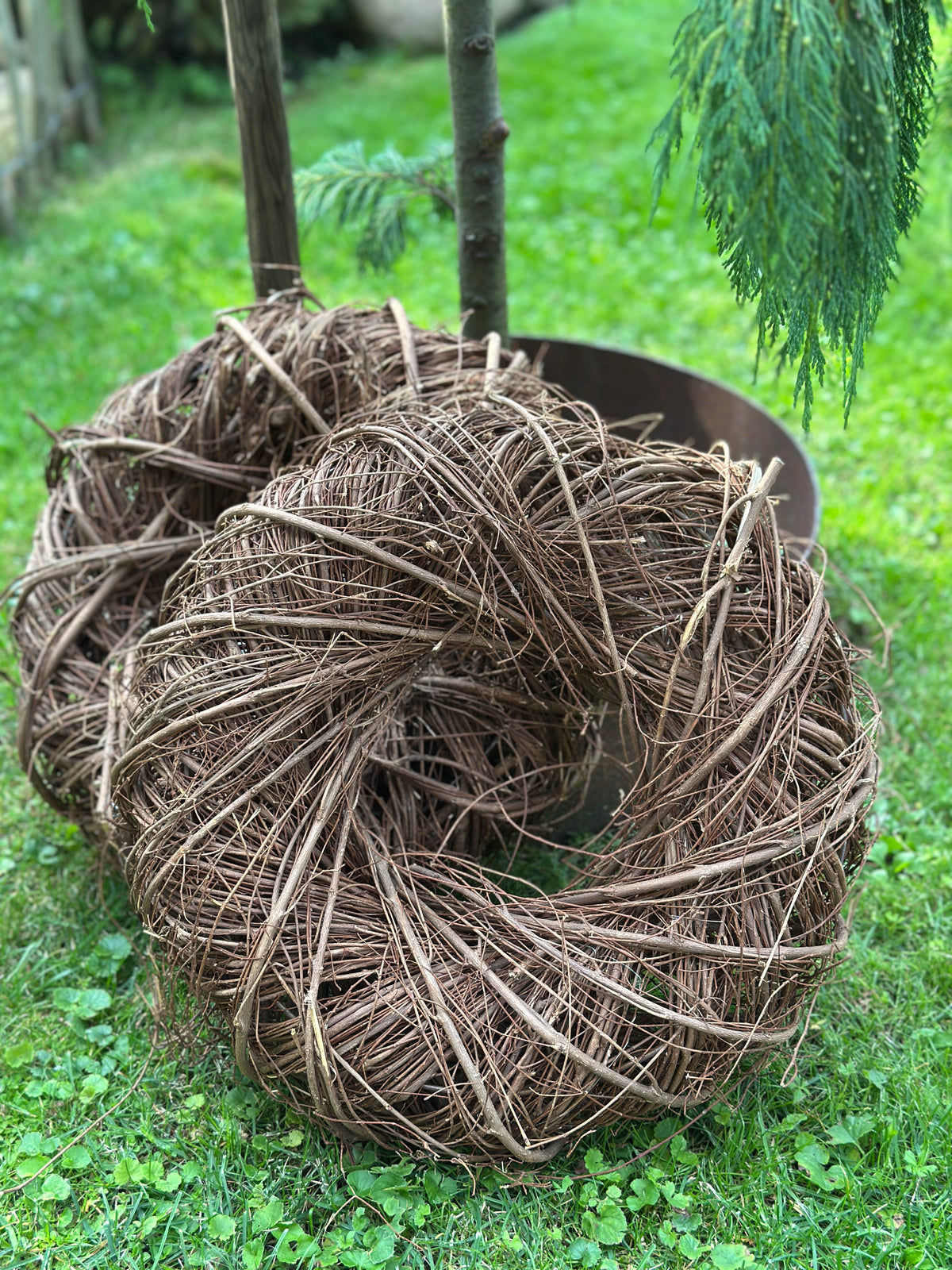 Kranz Natur D: 40x11 cm