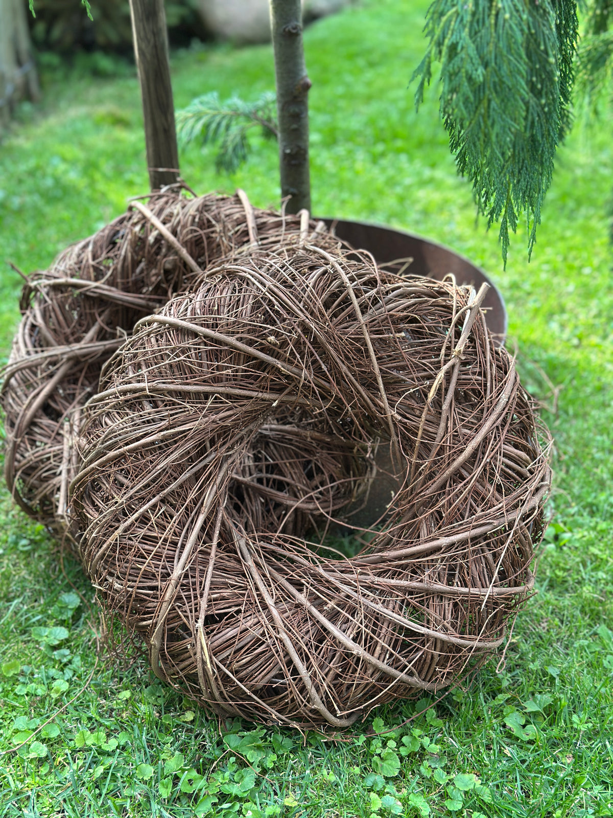 Kranz Natur D: 40x11 cm
