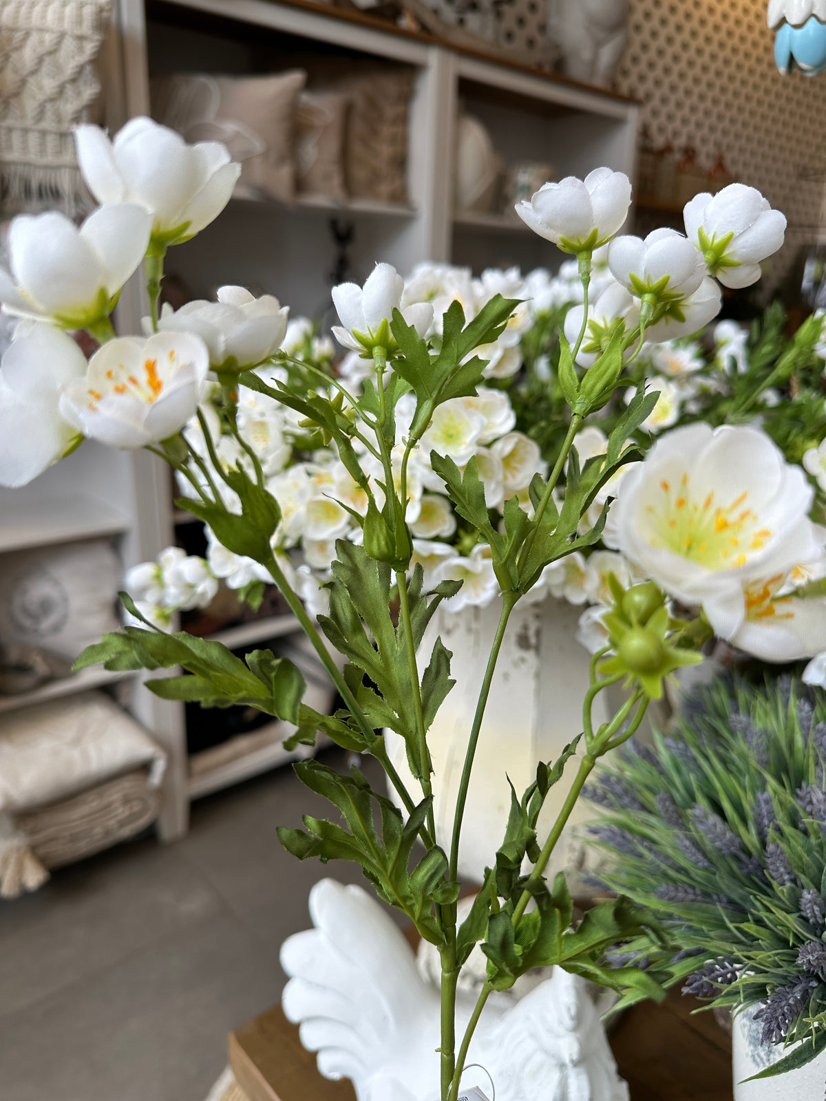 Blume, weiß