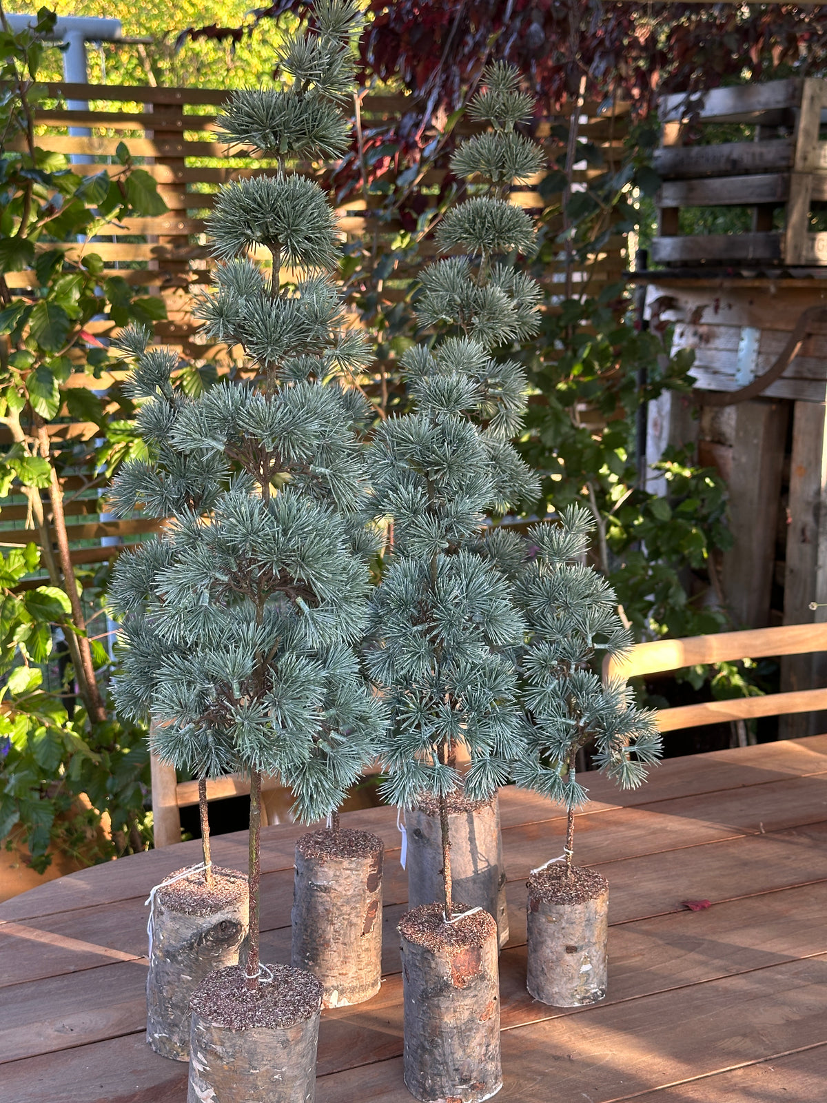 Baum Kunst zart beschneit H: 80cm