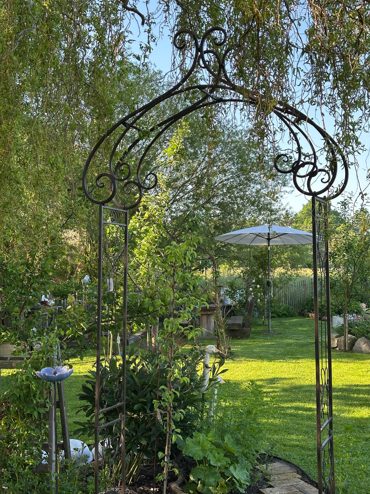 Rosenbogen aus Eisen 274x116x28cm.