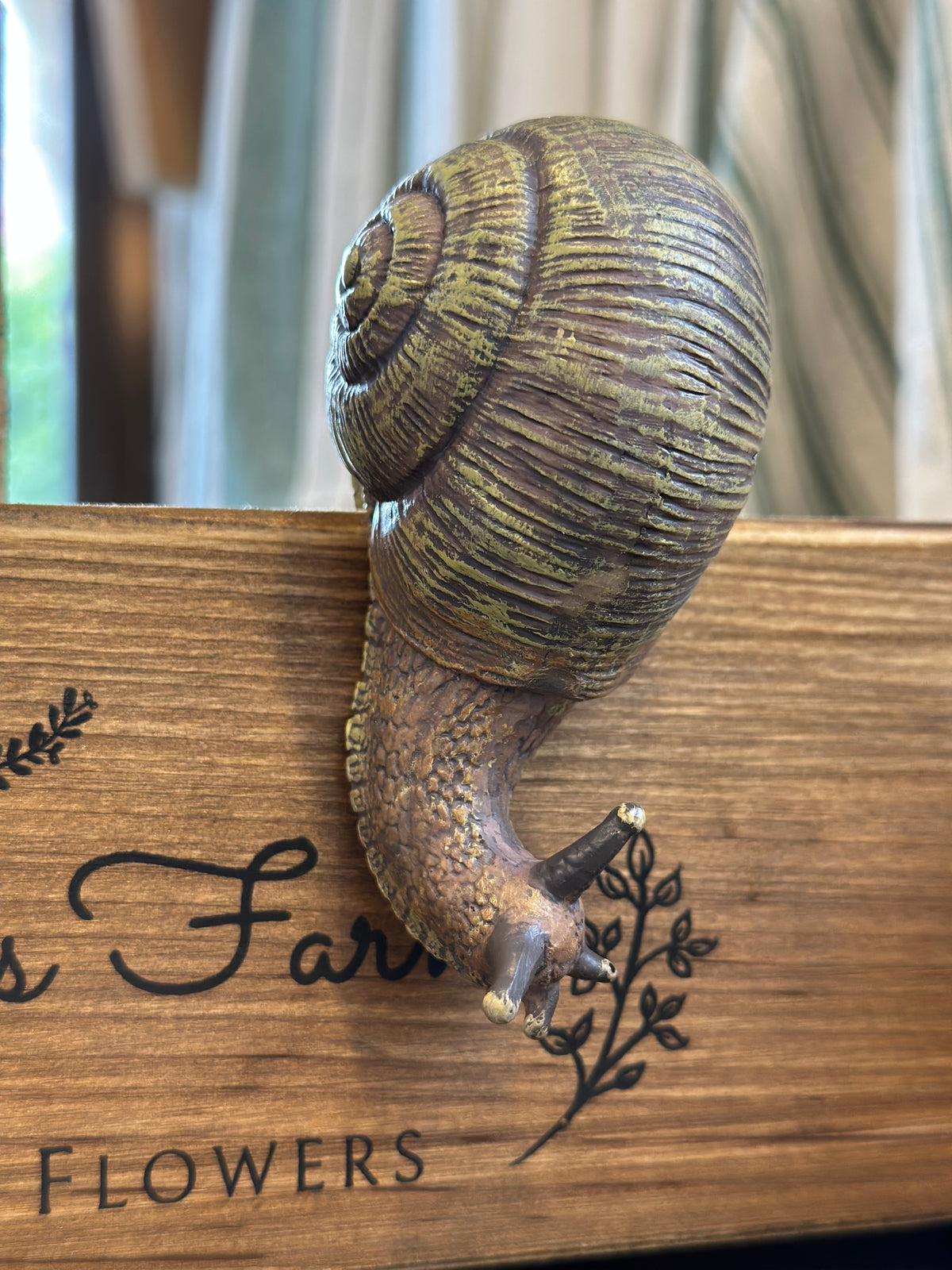 Schnecke Topfhänger