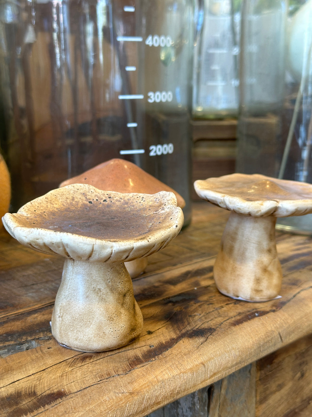 Pilz Set3