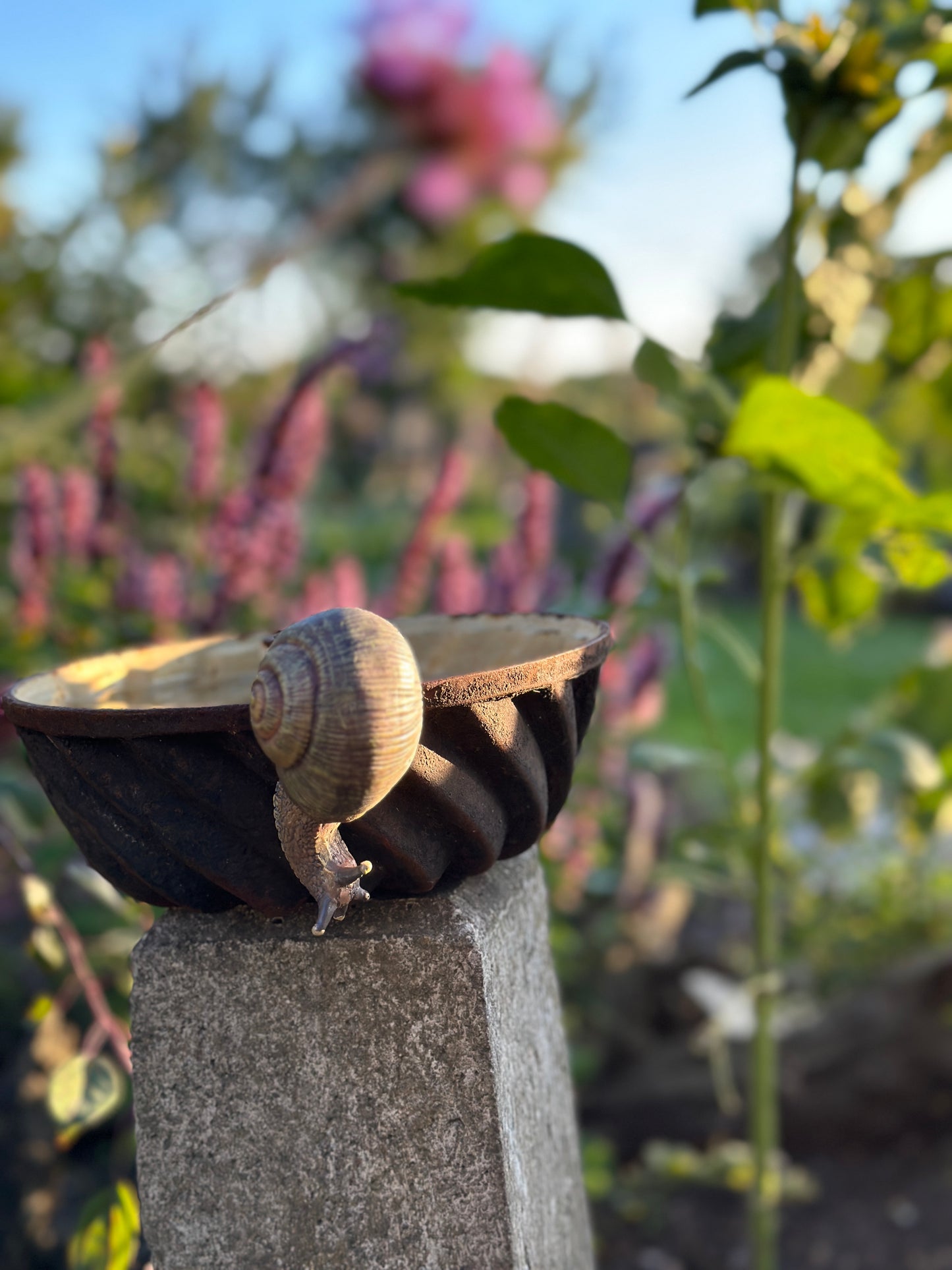 Schnecke Topfhänger