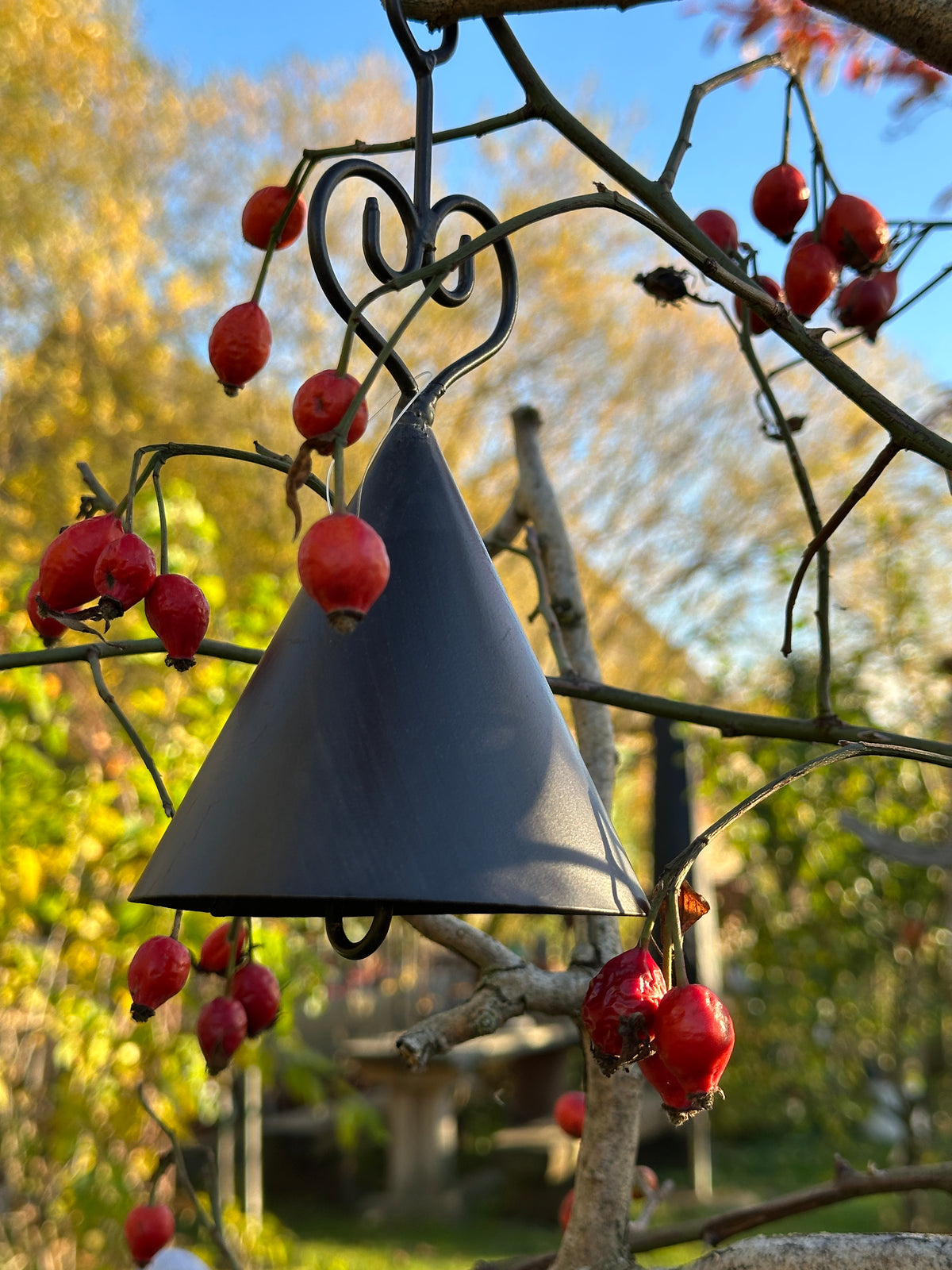 Meisenknödel- Halter