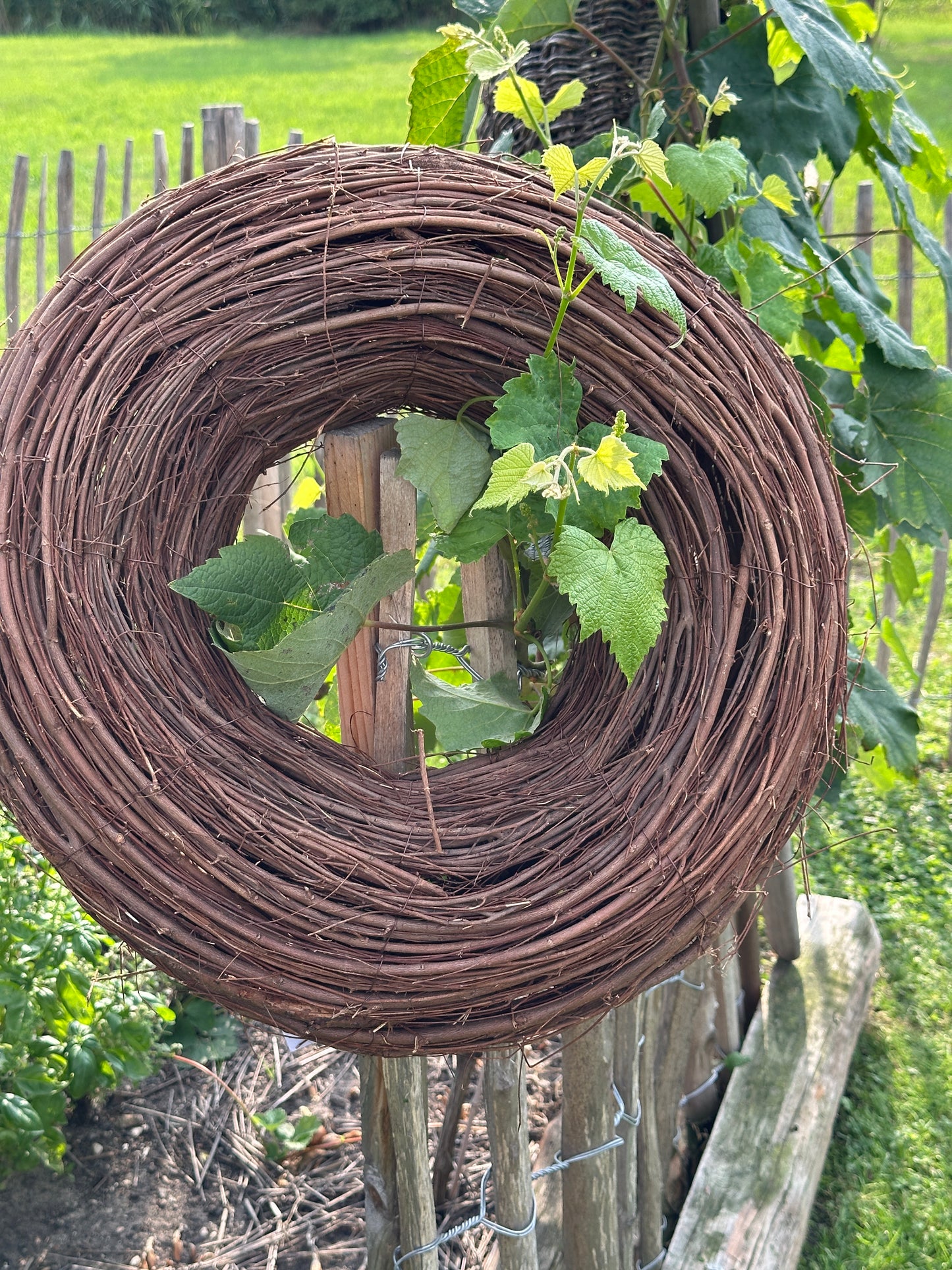 Kranz Natur D: 50x14 cm
