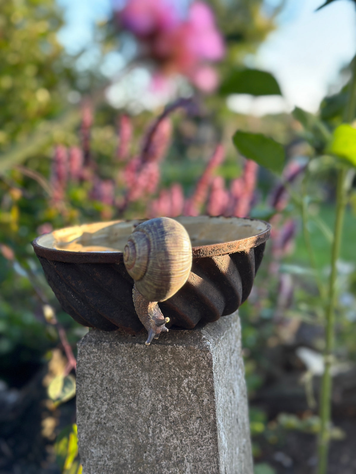 Schnecke Topfhänger