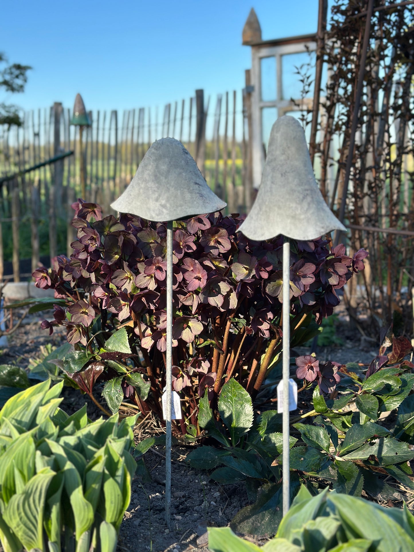 Pilz Set/ 2   H: 70cm.