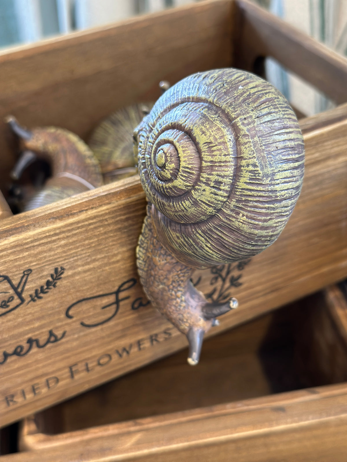 Schnecke Topfhänger