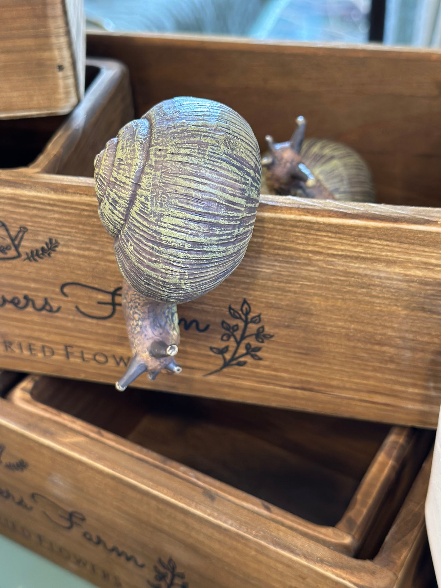 Schnecke Topfhänger