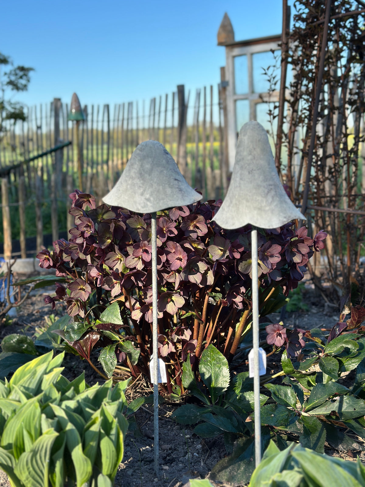 Pilz Set/ 2   H: 70cm.