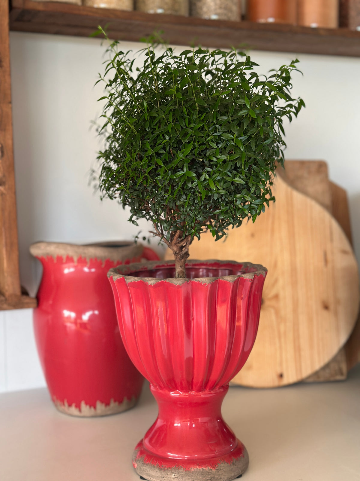 Blumentopf /Übertopf aus Steingut, Shabby