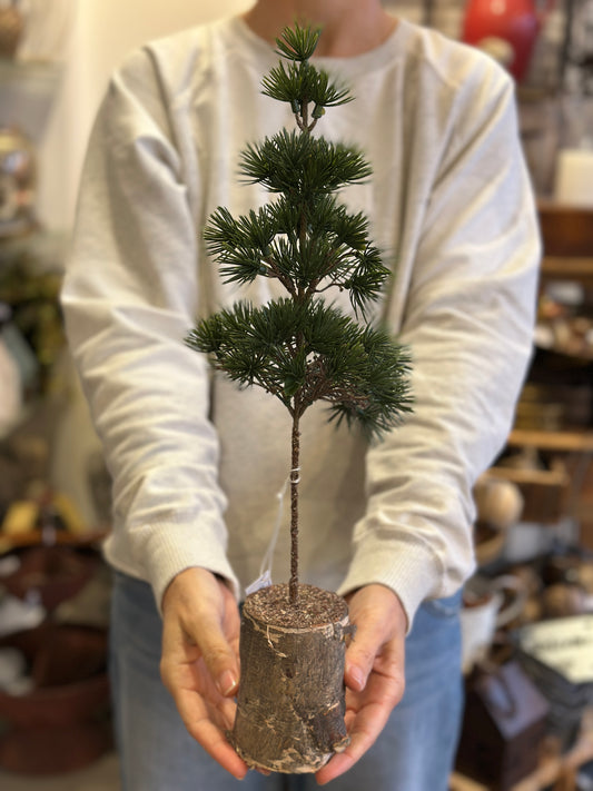 Baum Dekoration, Kunst 🌲