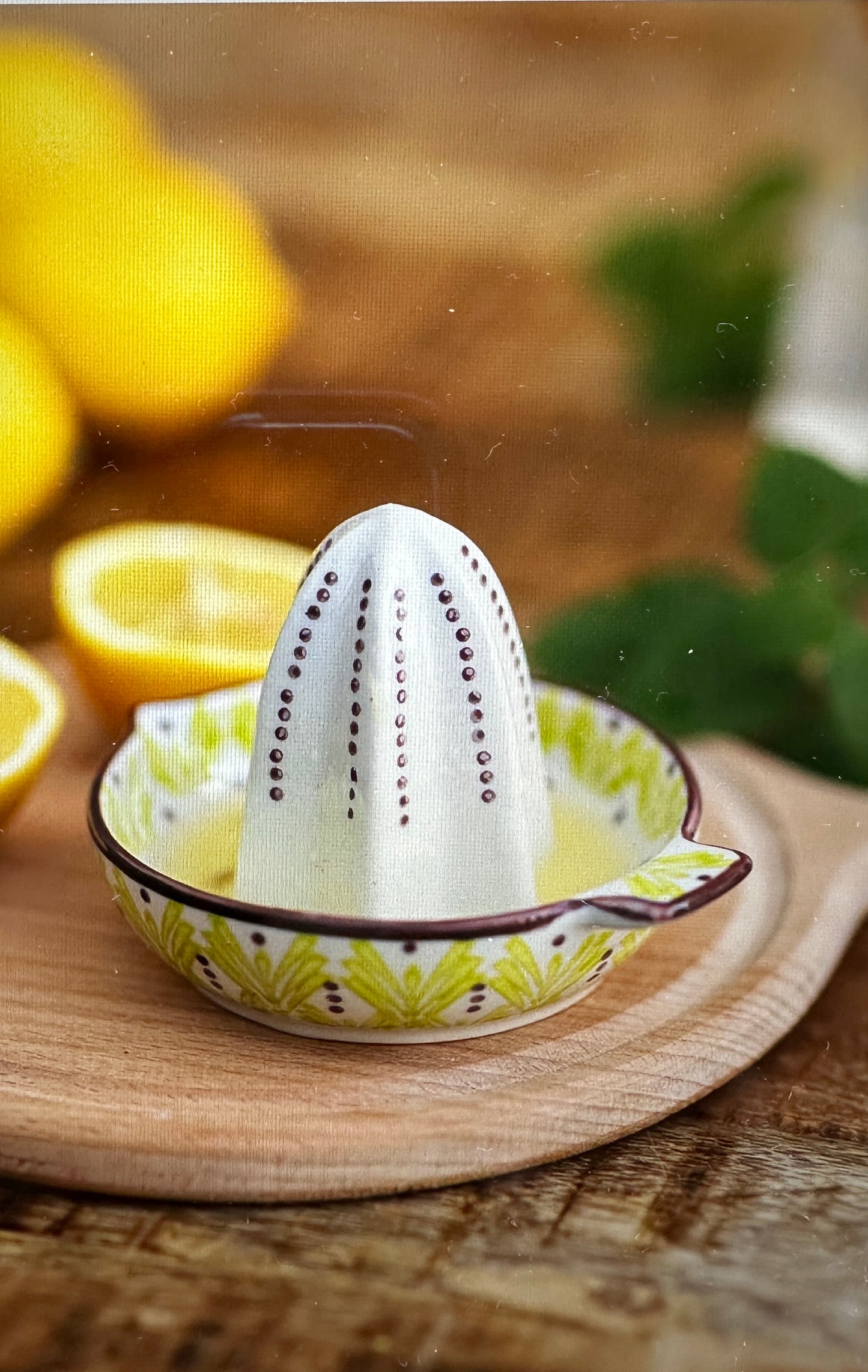 Zitruspresse 🍋