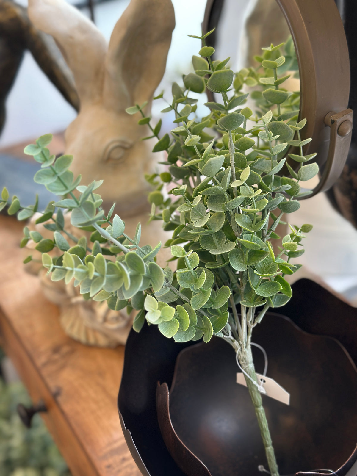 Eukalyptus Zweig, Kunst