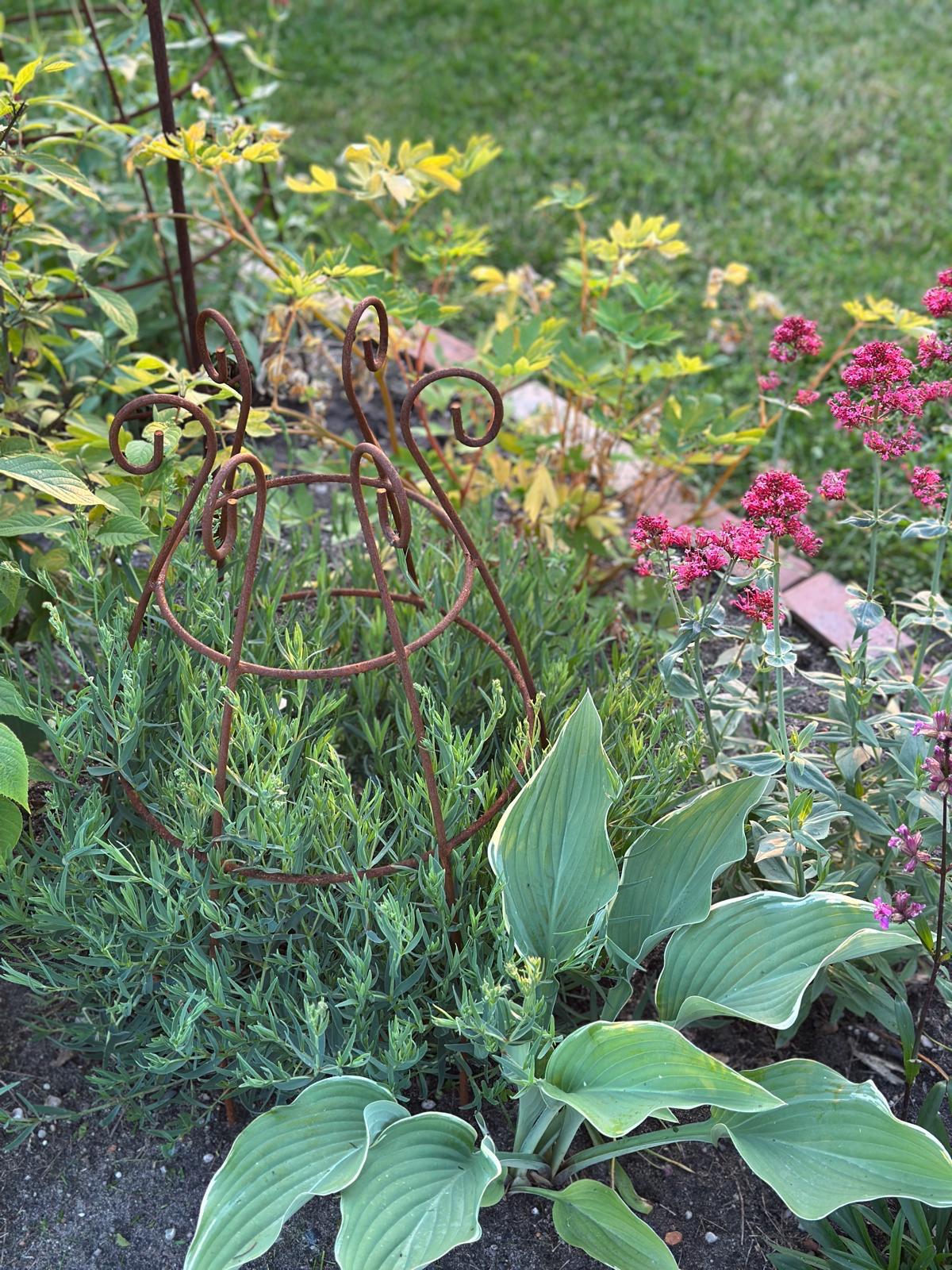 Blumenstütze/ Rankhilfe/ Rankturm Set 2 Stück. (zwei gleiche) Eisen echtrost