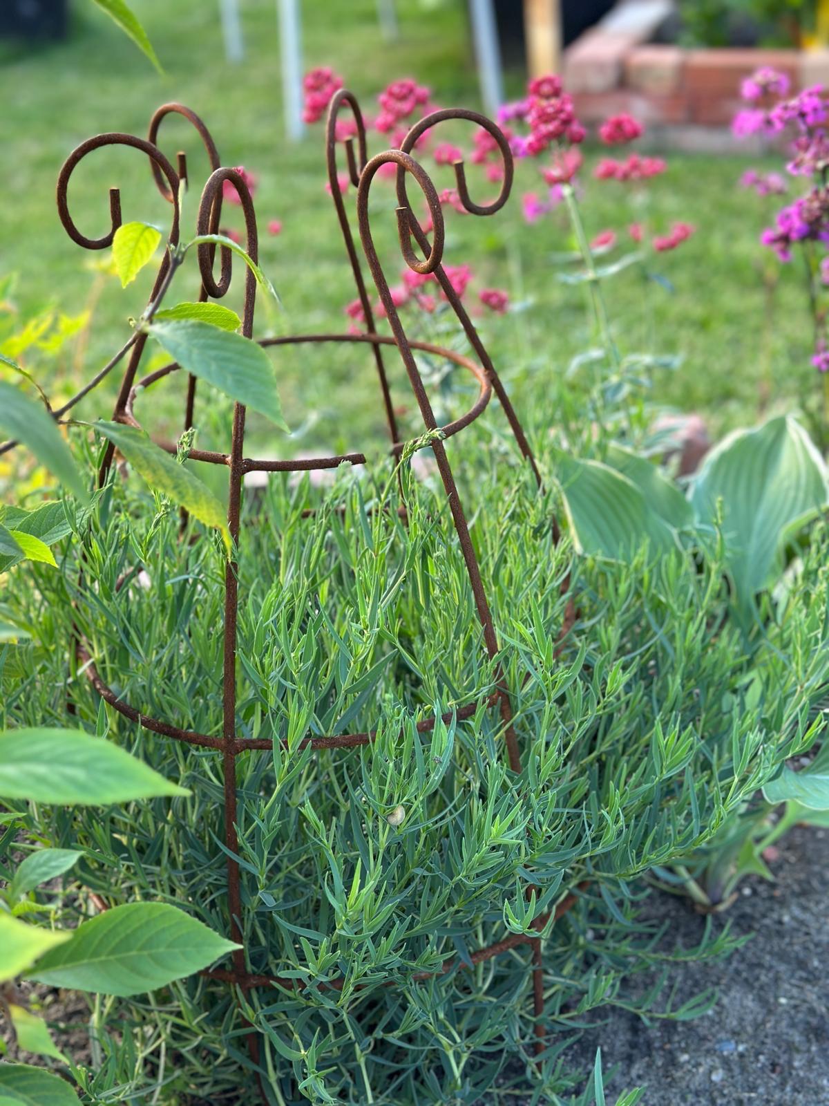 Blumenstütze/ Rankhilfe/ Rankturm Set 2 Stück. (zwei gleiche) Eisen echtrost