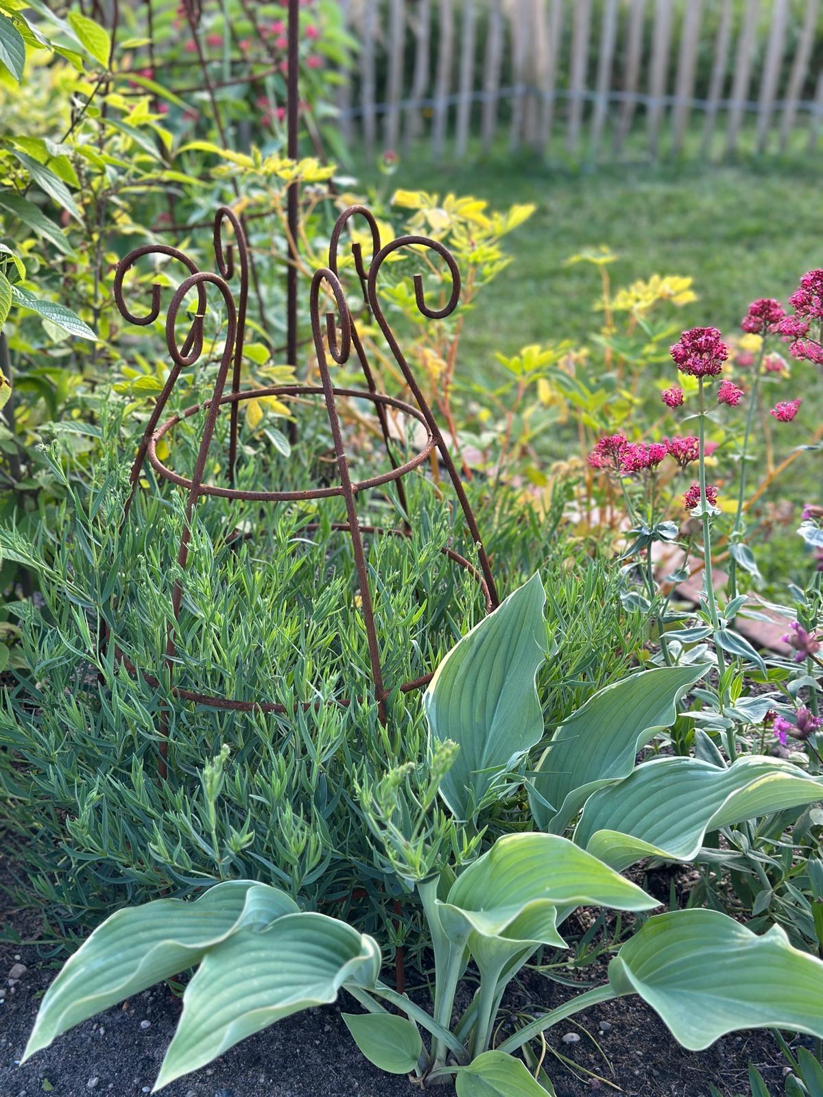 Blumenstütze/ Rankhilfe/ Rankturm Set 2 Stück. (zwei gleiche) Eisen echtrost
